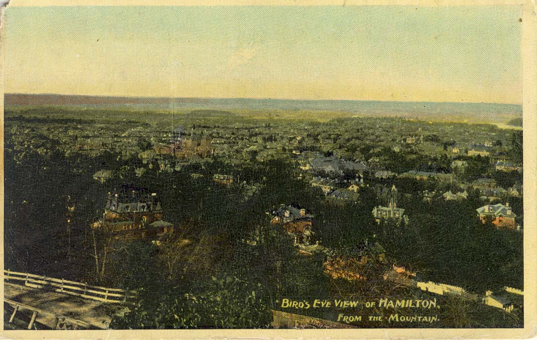 Bird’s Eye View