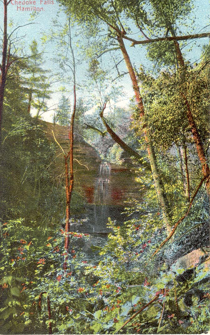 Chedoke Falls