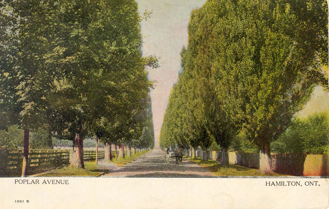 Poplar Avenue 1861